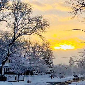 Meet your Posher, Pratima